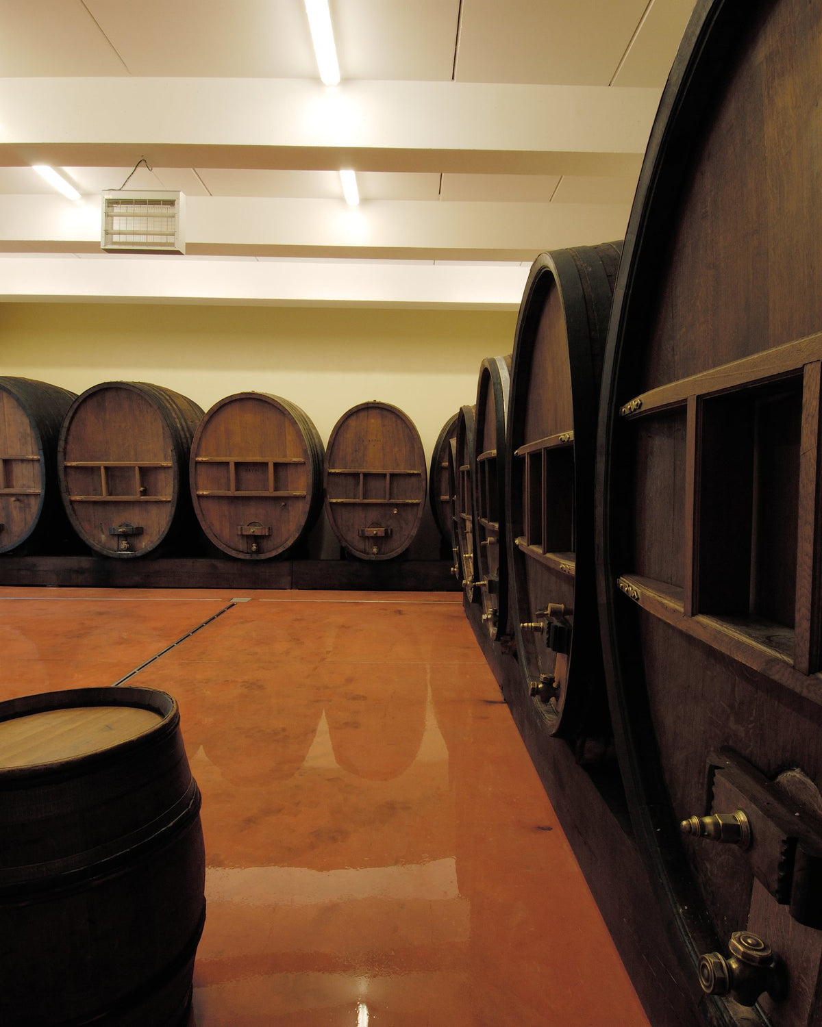 Oak barrels in the Moltès cellar