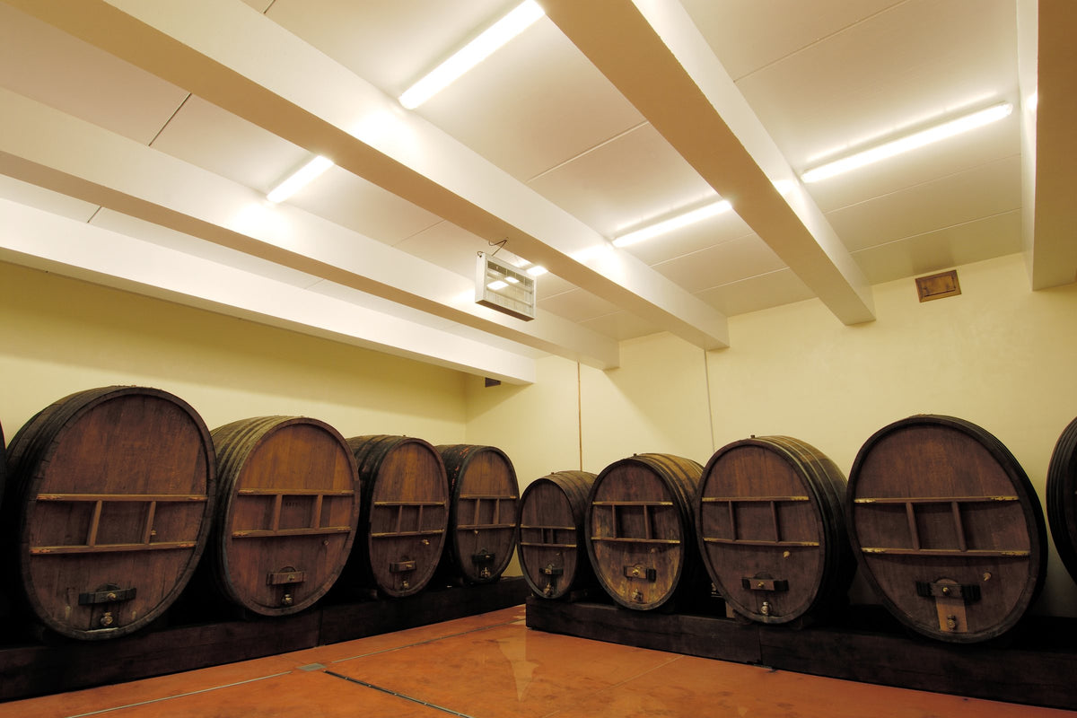 The oak foudres in the Moltès cellar